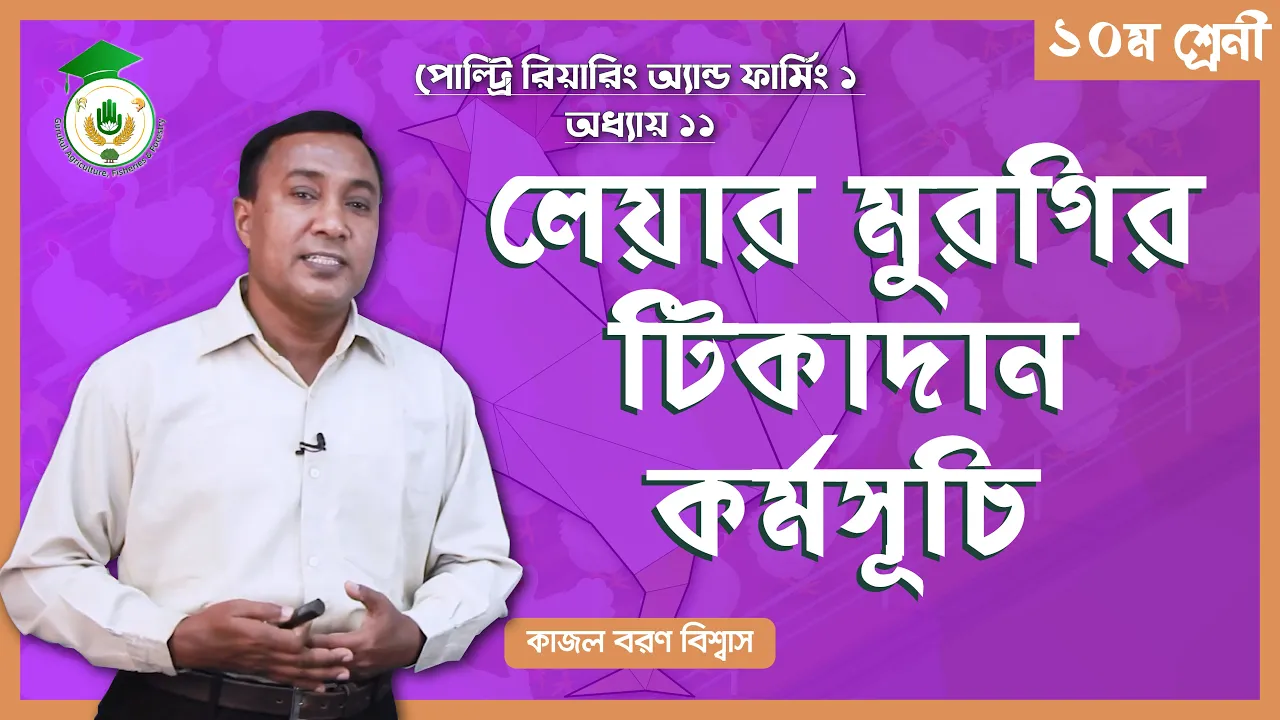 লেয়ার মুরগির টিকাদান লেয়ার মুরগির টিকাদান | পোল্ট্রি রিয়ারিং অ্যান্ড ফার্মিং