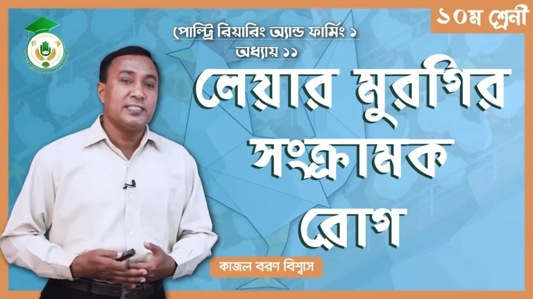 লেয়ার মুরগির সংক্রামক লেয়ার মুরগির সংক্রামক রোগ | পোল্ট্রি রিয়ারিং অ্যান্ড ফার্মিং