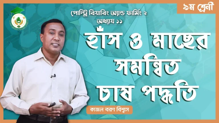হাঁস ও মাছের সমন্বিত চাষ হাঁস ও মাছের সমন্বিত চাষ পদ্ধতি | পোল্ট্রি রিয়ারিং অ্যান্ড ফার্মিং