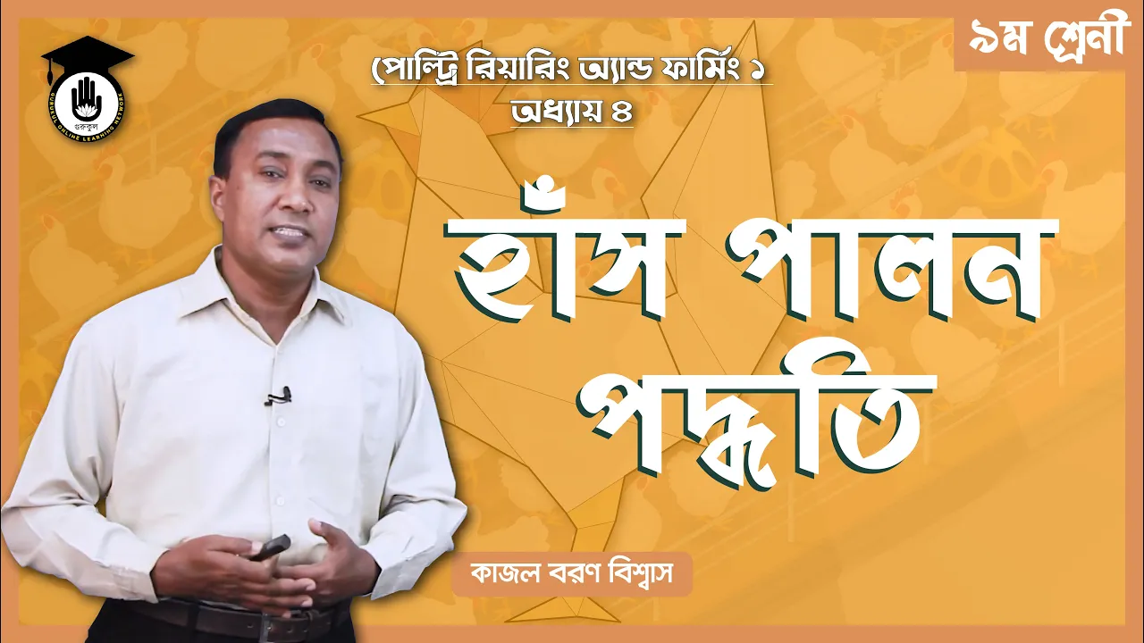 হাঁস পালন পদ্ধতি হাঁস পালন পদ্ধতি | পোল্ট্রি রিয়ারিং অ্যান্ড ফার্মিং