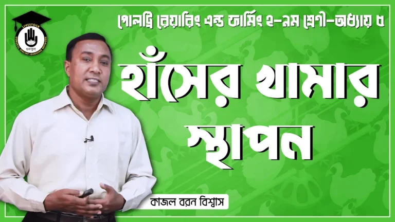 হাঁসের খামার স্থাপন হাঁসের খামার স্থাপন | পোল্ট্রি রিয়ারিং অ্যান্ড ফার্মিং