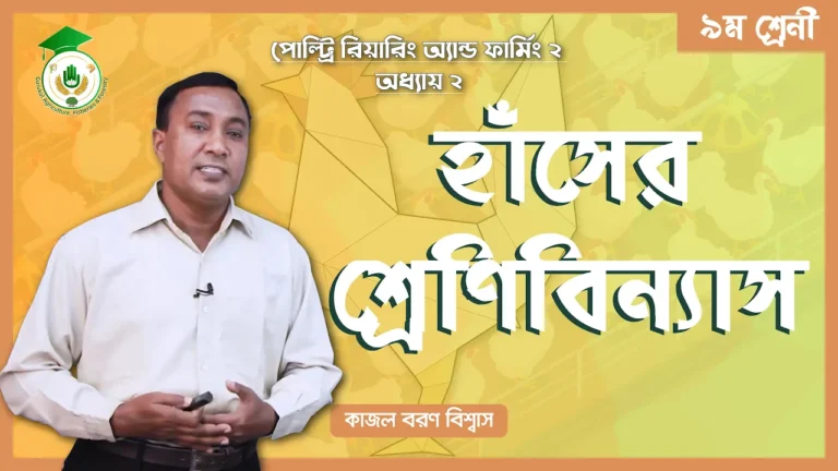 হাঁসের শ্রেণিবিন্যাস হাঁসের শ্রেণিবিন্যাস | পোল্ট্রি রিয়ারিং অ্যান্ড ফার্মিং