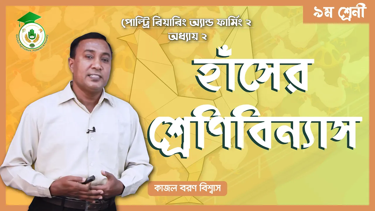হাঁসের শ্রেণিবিন্যাস হাঁসের শ্রেণিবিন্যাস | পোল্ট্রি রিয়ারিং অ্যান্ড ফার্মিং