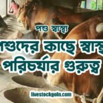 পশু স্বাস্থ্য: পশুদের কাছে স্বাস্থ্য পরিচর্যার গুরুত্ব