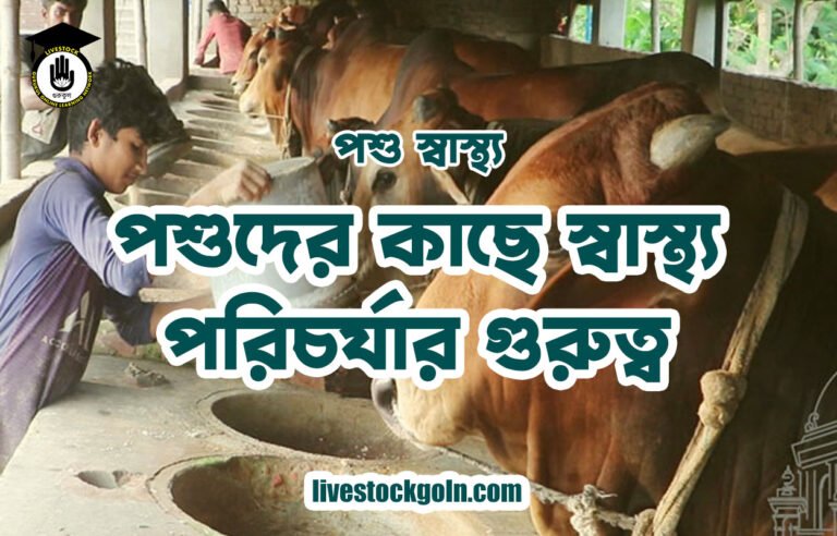 পশু স্বাস্থ্য: পশুদের কাছে স্বাস্থ্য পরিচর্যার গুরুত্ব